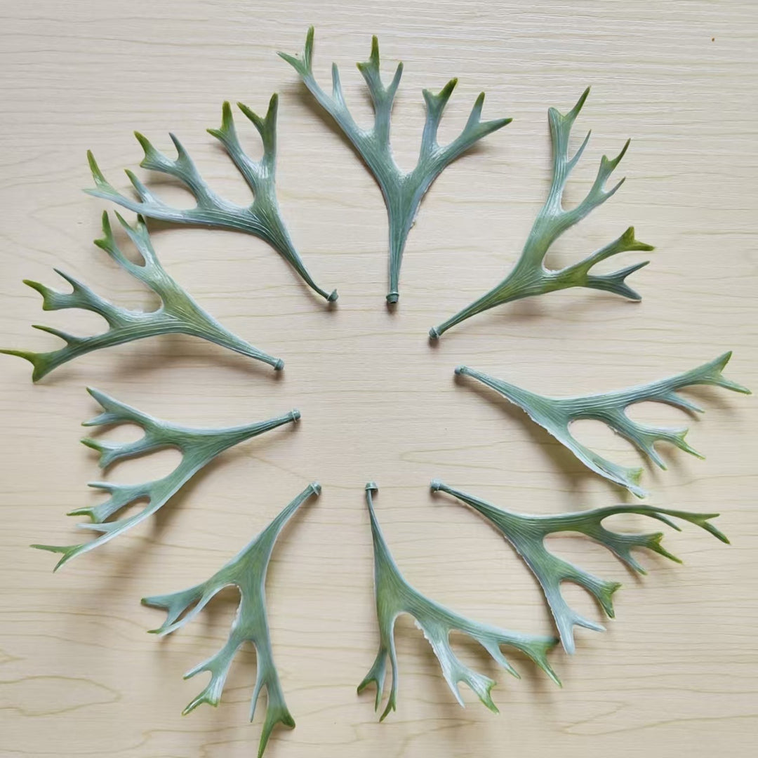 Decoratieve Botanische Bladsteel