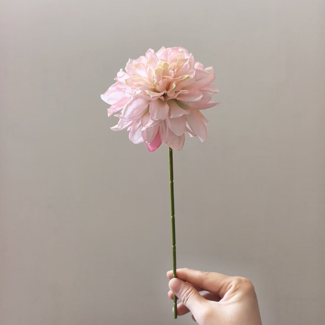 Levensechte Dahlia Steel