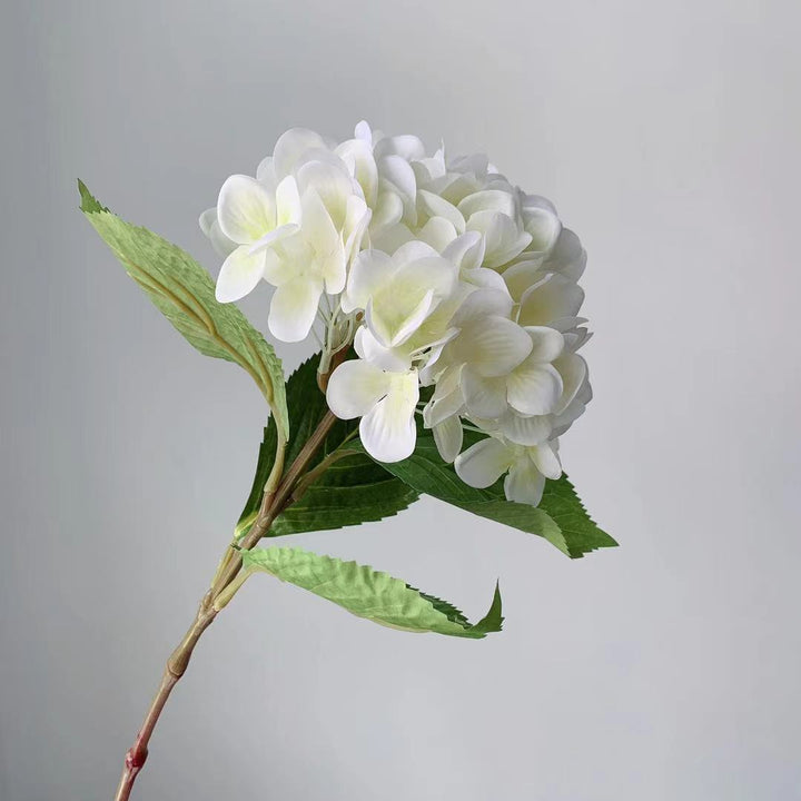 Levensechte Hortensia Steel