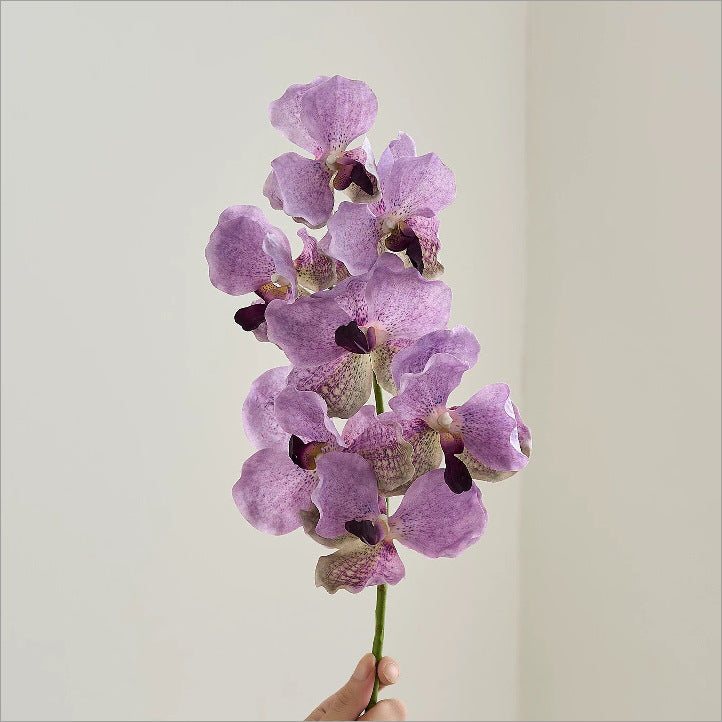 Elegante Kunstmatige Orchidee Stam
