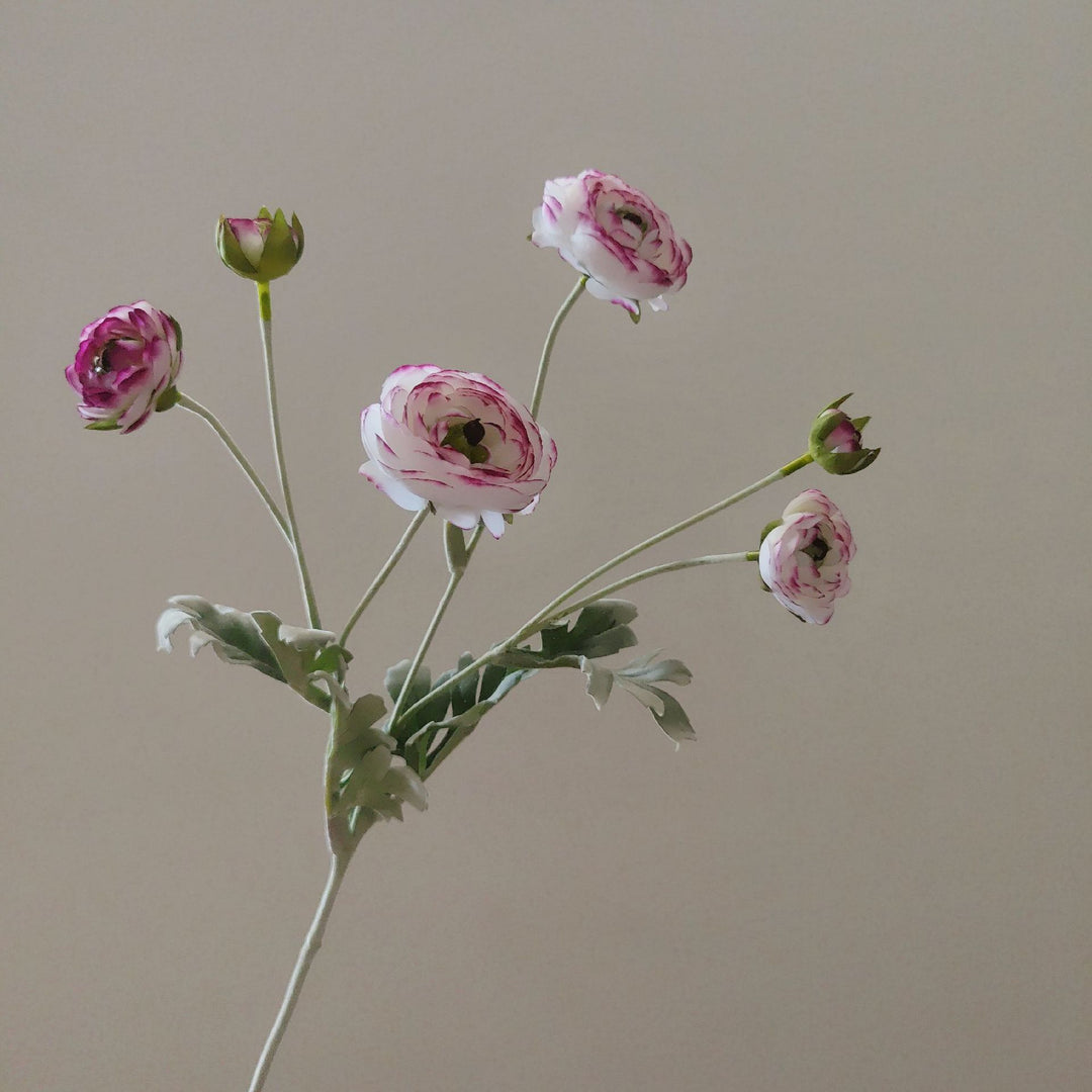 Levensechte Ranunculus Bloemsteel