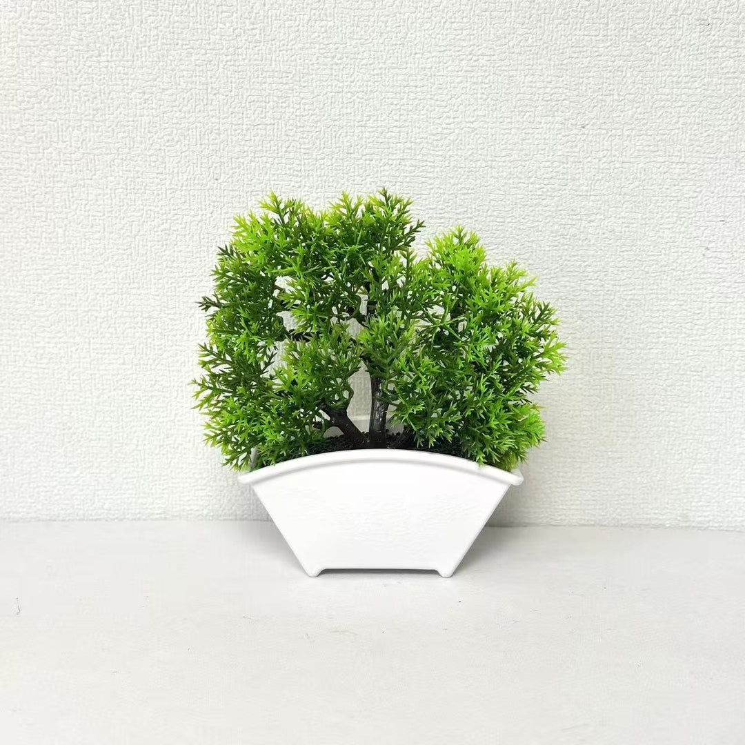 Decoratieve Bonsai Boom 1790480631 voor Thuisdecoratie