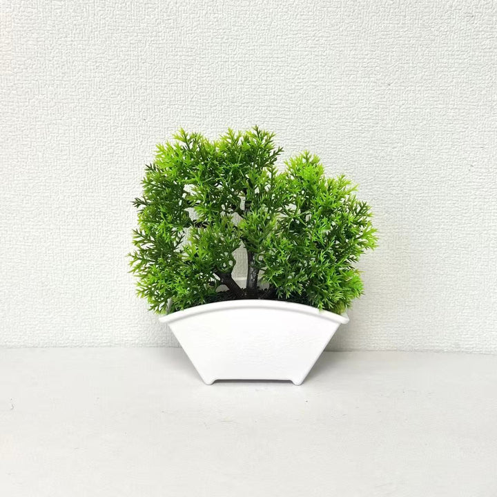 Decoratieve Bonsai Boom 1790480631 voor Thuisdecoratie