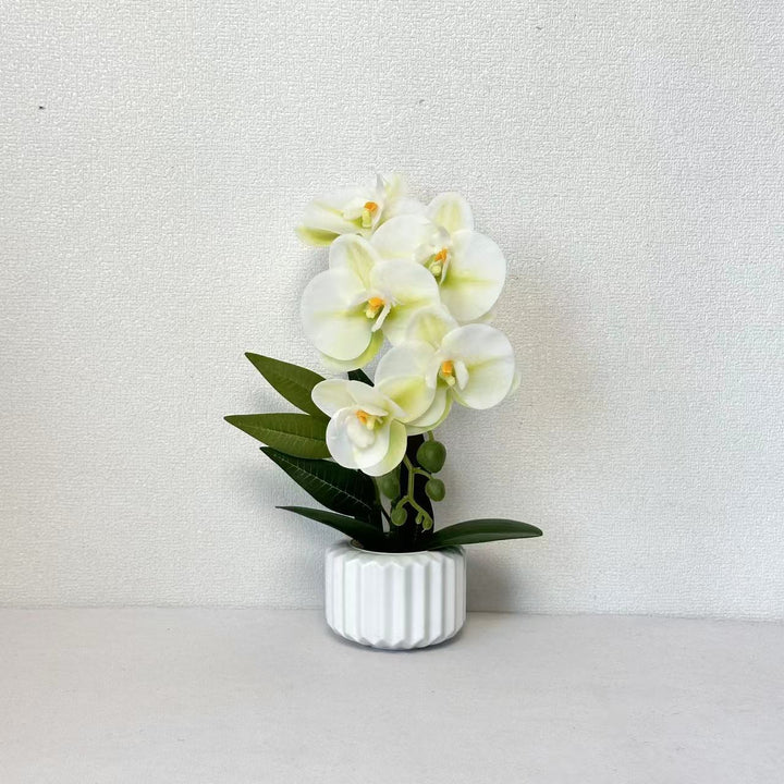 Decoratieve Potplant Orchidee voor Thuisdecoratie Display