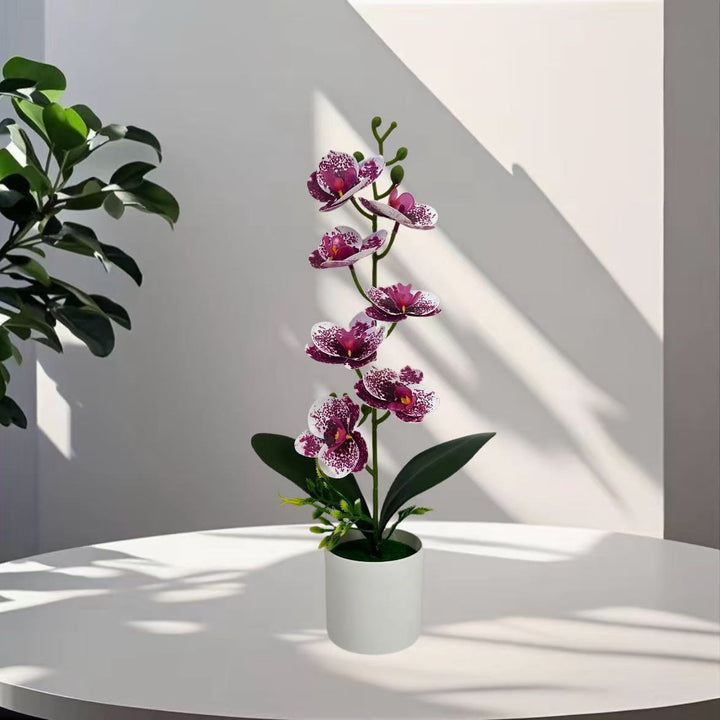 Decoratieve Kunstmatige Orchidee Arrangement 1790480696 voor Binnen Decor