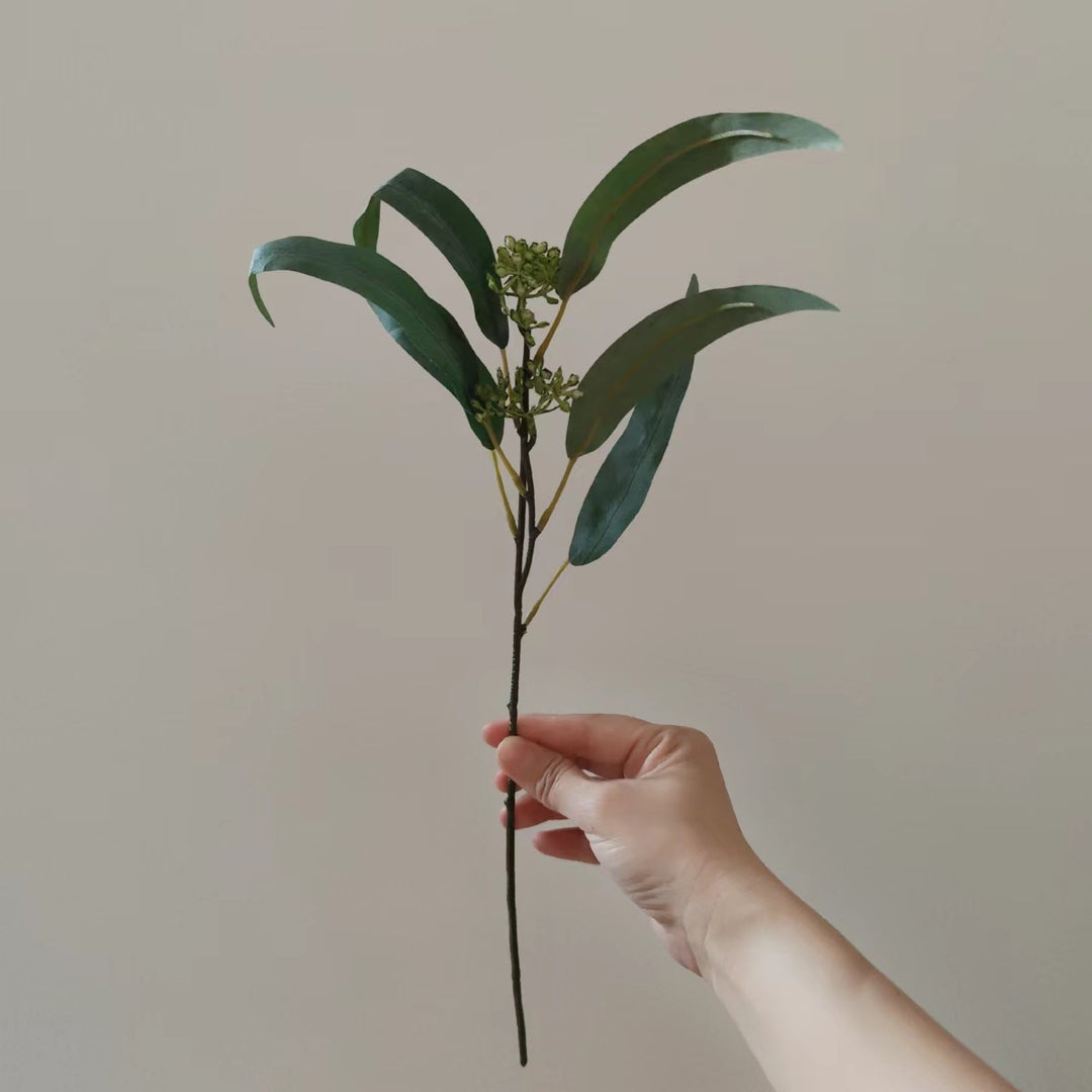Natuurlijk Gedroogde Bloemenstengel