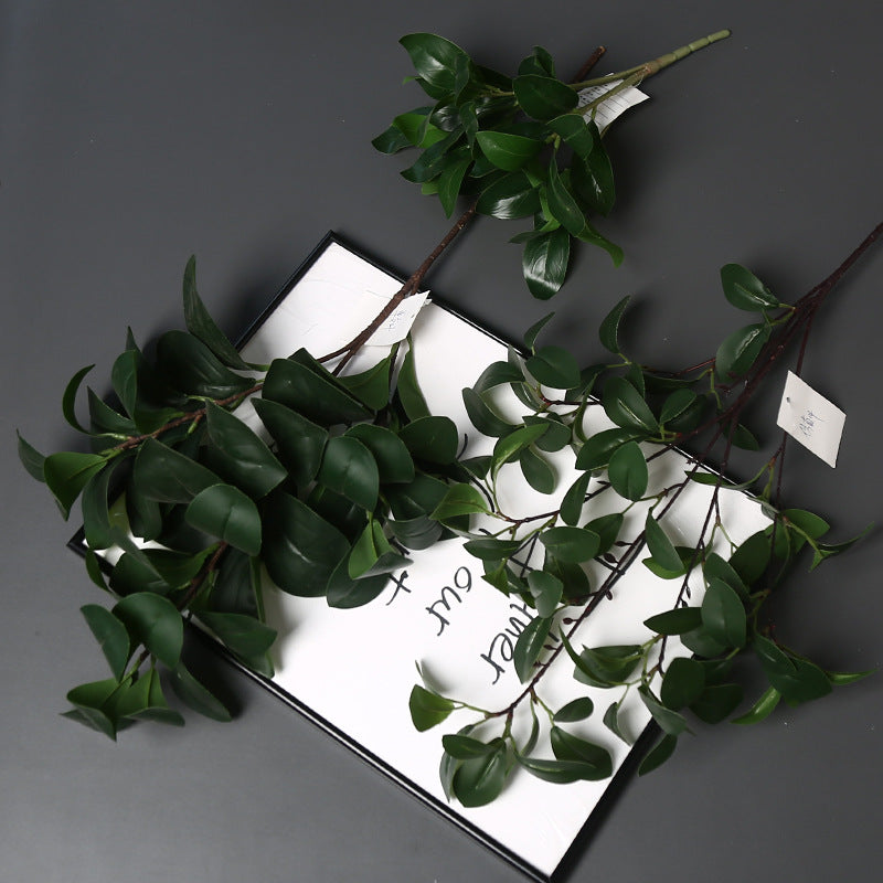 Realistische Groene Planten