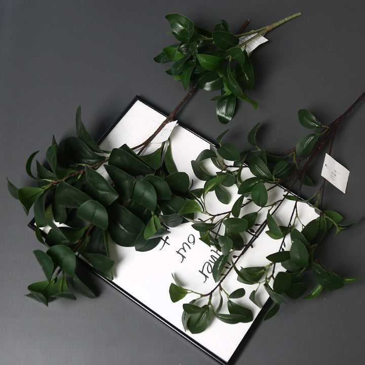 Realistische Groene Planten
