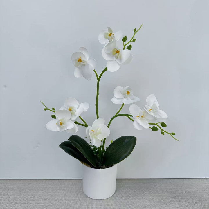 Decoratieve Orchidee voor Hu decoratie Display