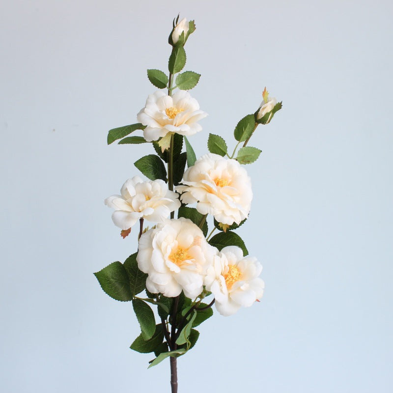 Levensgrote Bloemen Rozensteel
