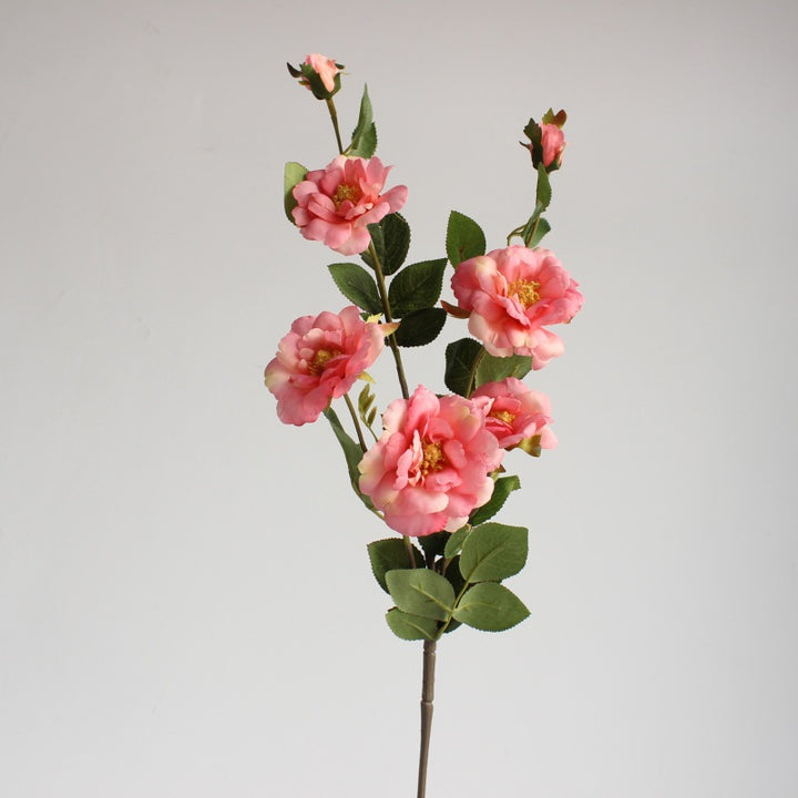 Levensgrote Bloemen Rozensteel