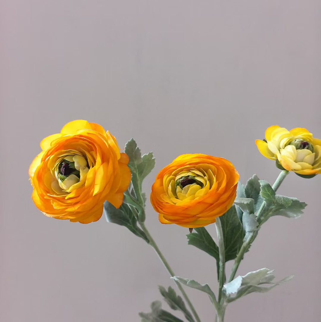 Realistische Ranunculus Bloemensteel