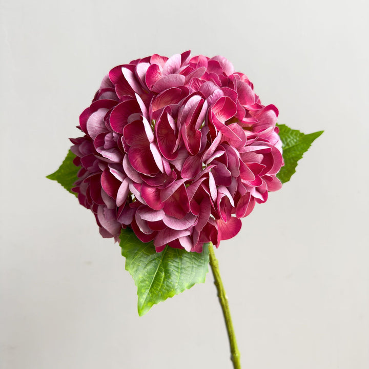 Levensechte Hortensia Steel