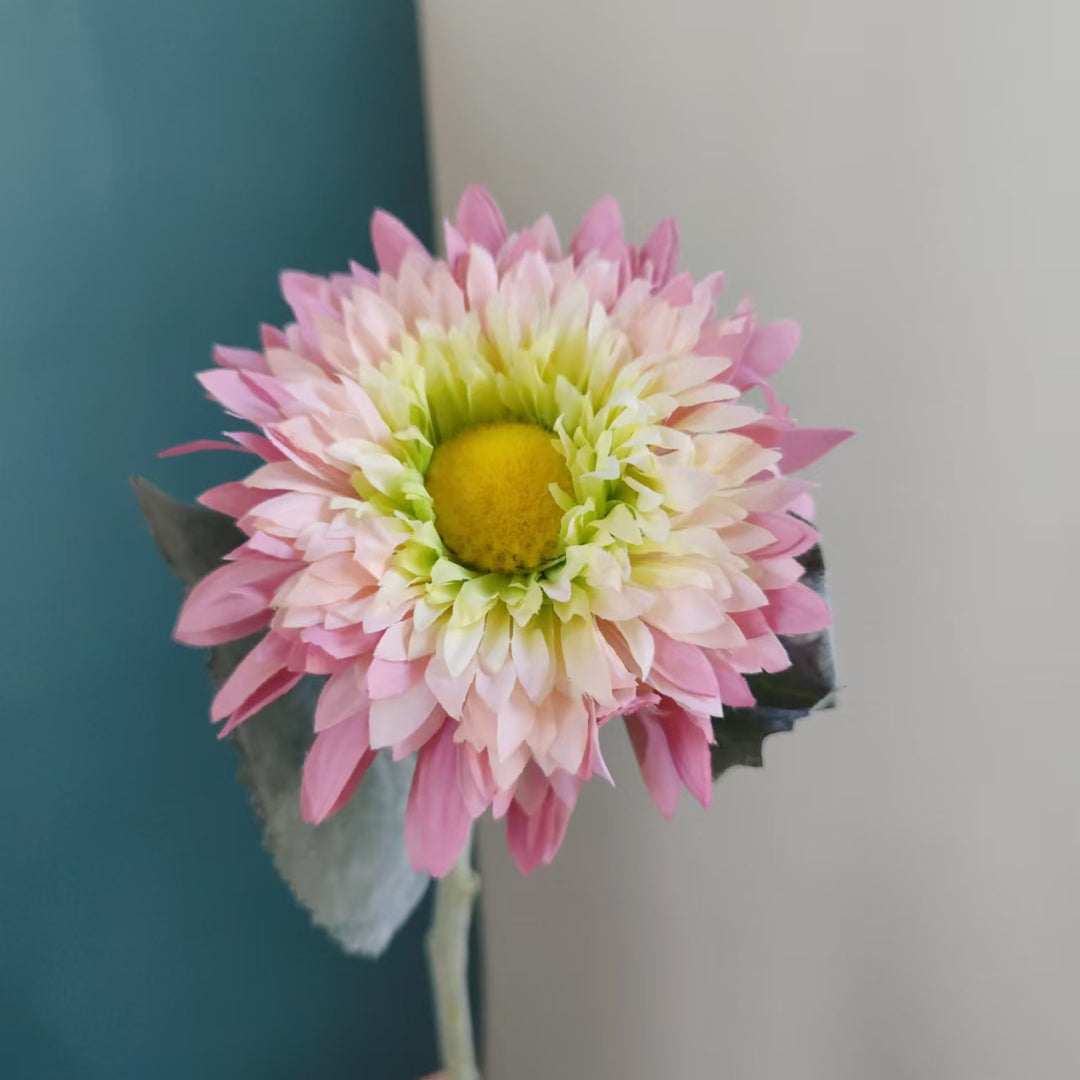 Levensechte Margriet Steel
