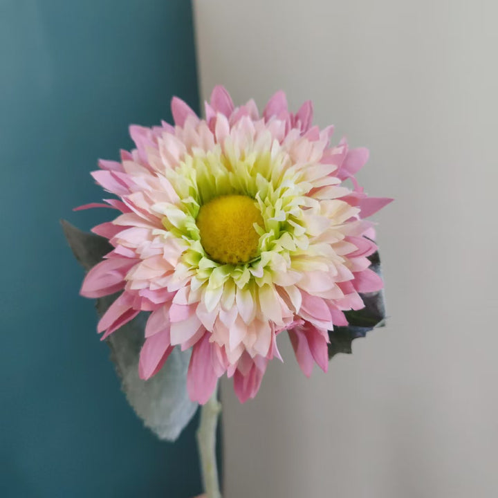 Levensechte Margriet Steel