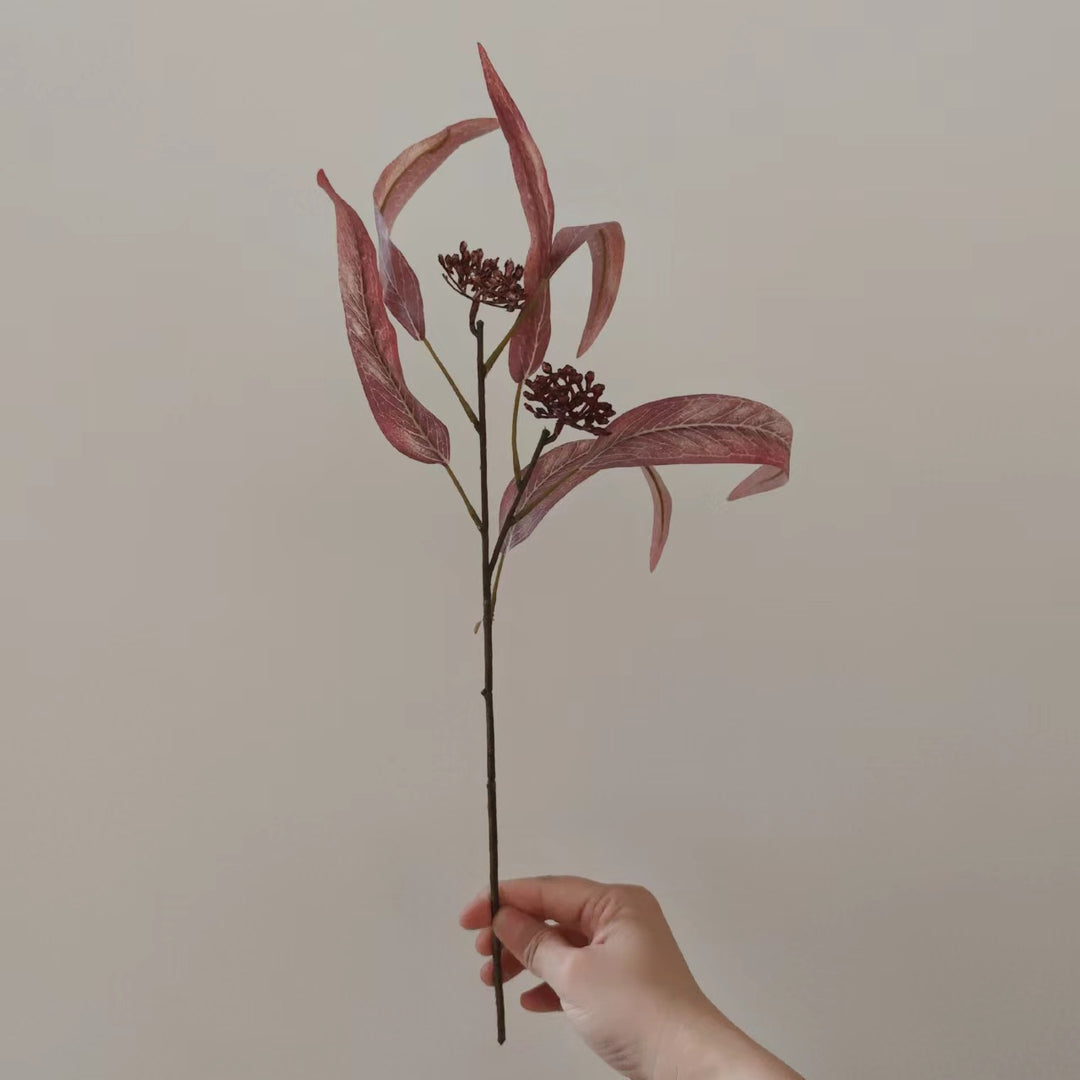 Natuurlijk Gedroogde Bloemenstengel