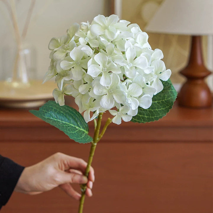 Hortensia Decoratieve Bloem Stem
