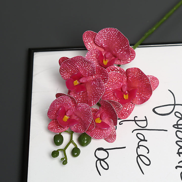 Levensechte Orchidee Bloem Steel