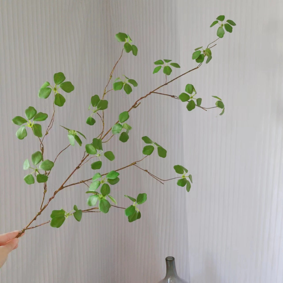 Natuurlijke Decoratieve Neptak