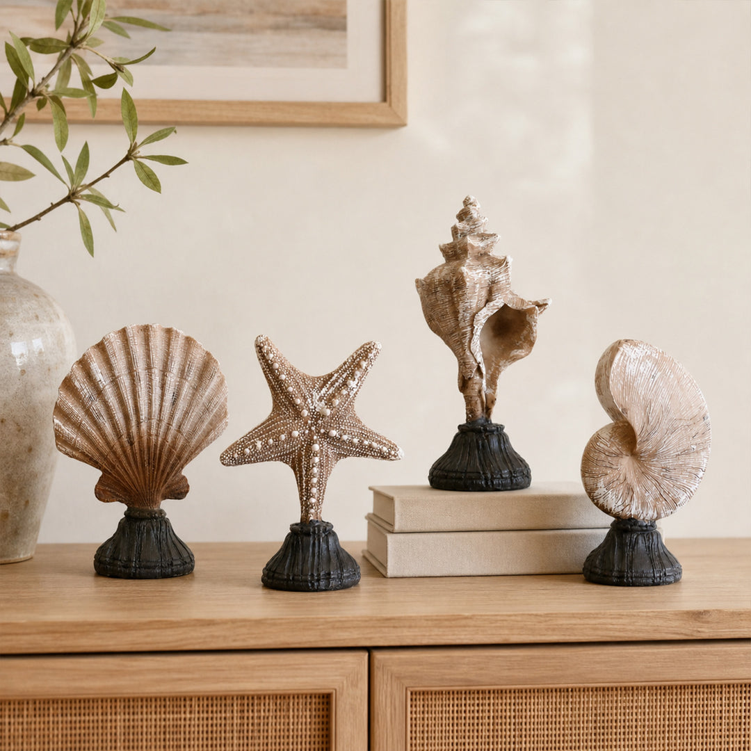 Zeester Beeldje Thuis Display