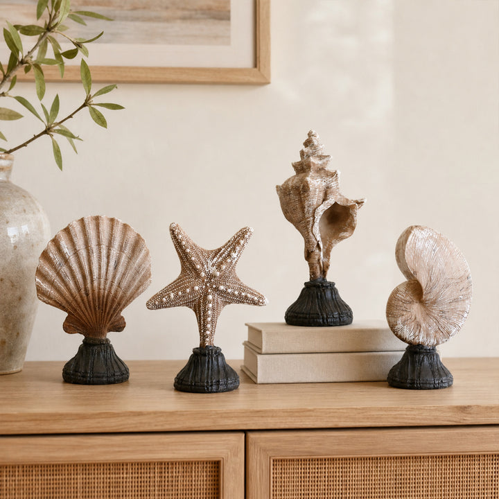 Zeester Beeldje Thuis Display