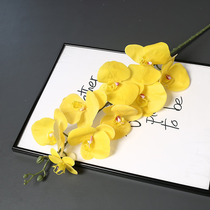Nepatuur Orchidee Bloemsteel voor Woondecoratie Display