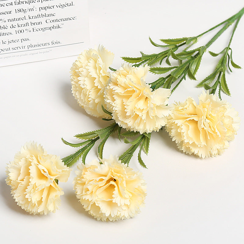 Realistische Bloemen Anjers Boeket