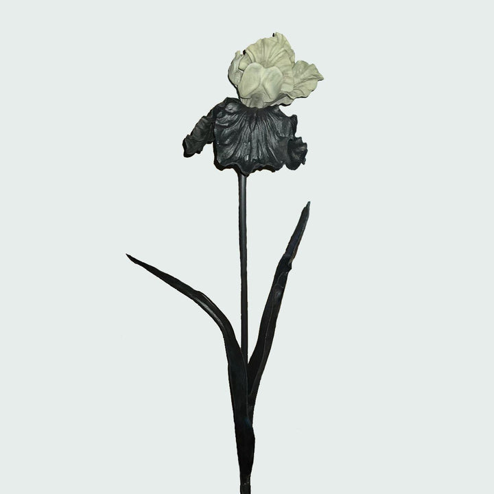 Decoratieve Iris Bloemsteel