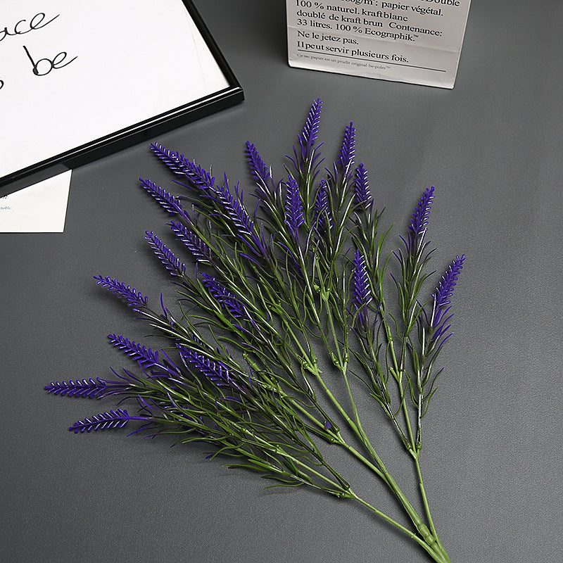 Lavender Bloem Stengel