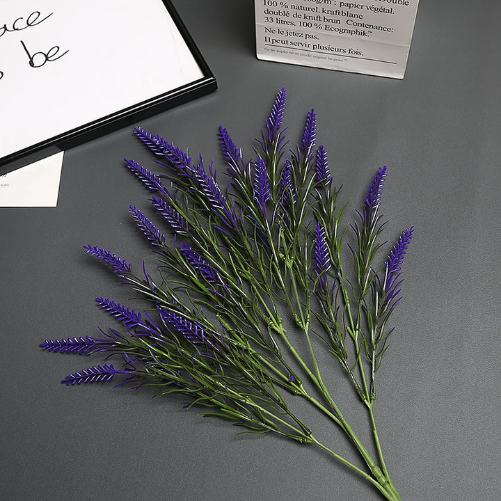 Lavender Bloem Stengel
