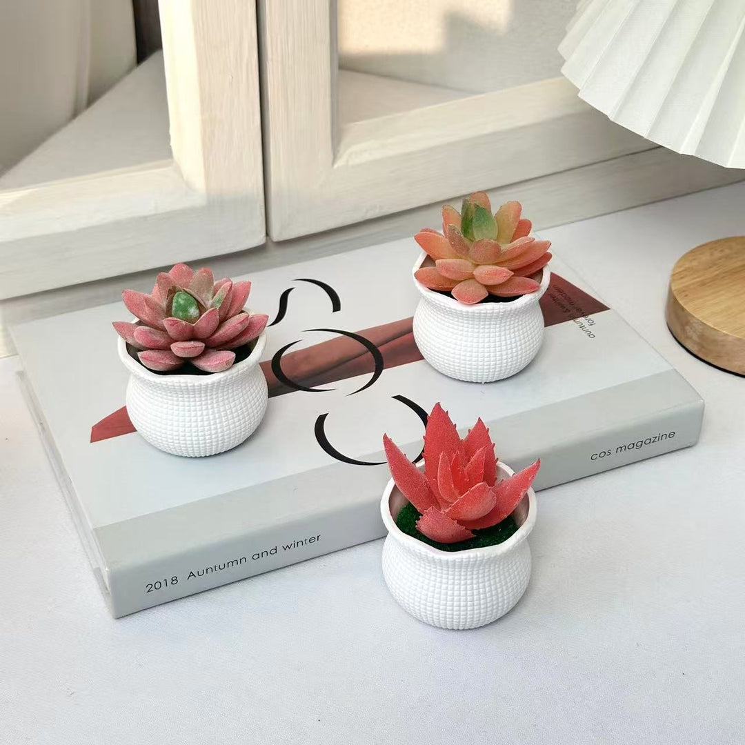 Decoratieve Nep Cactus Arrangement