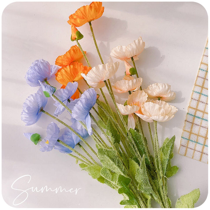 Levens echte Papaver Bloemen Stengel