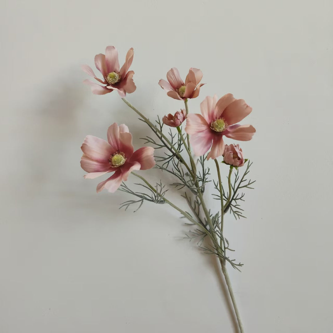 Levensechte Cosmos Bloem Steel