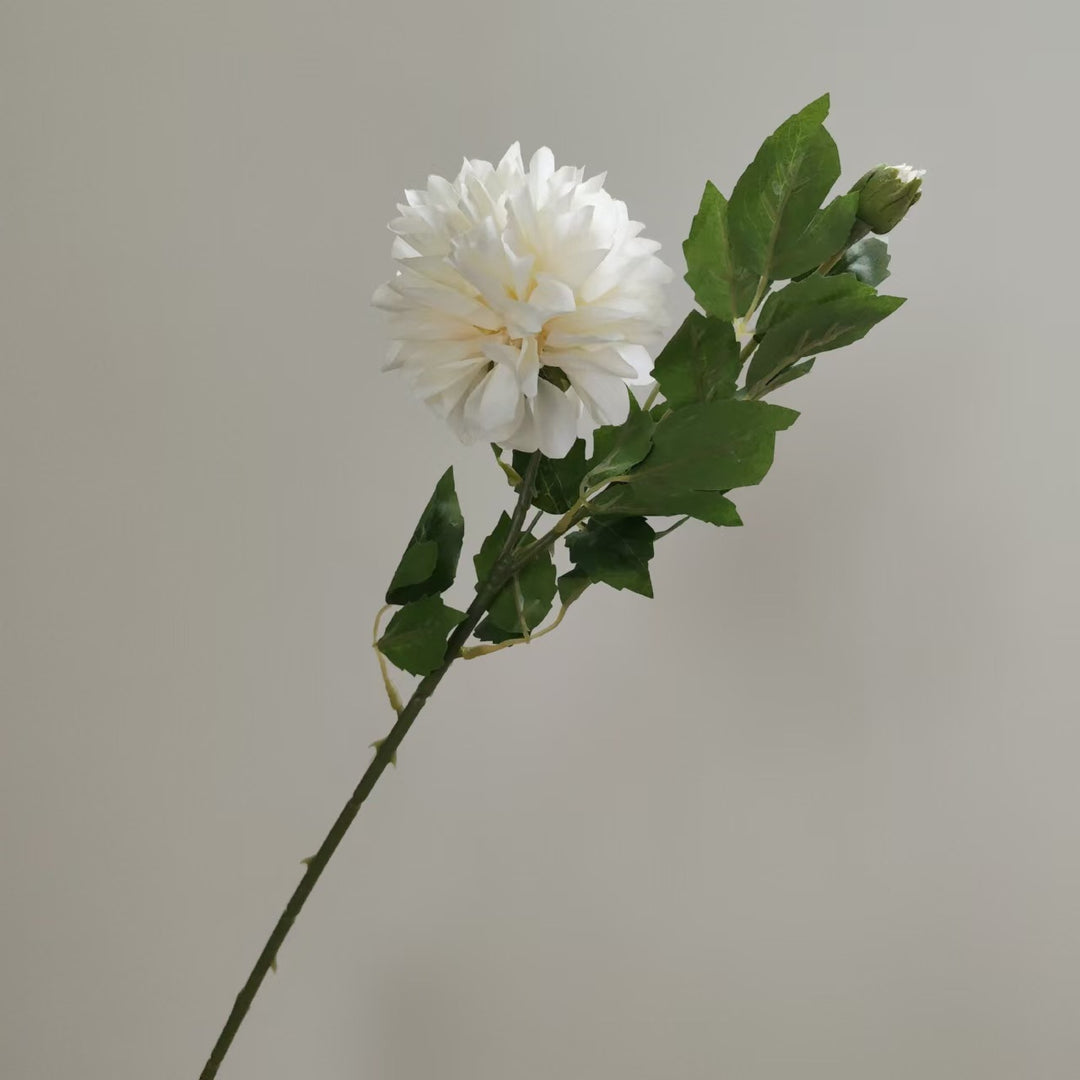 Realistische Dahlia Bloemsteel