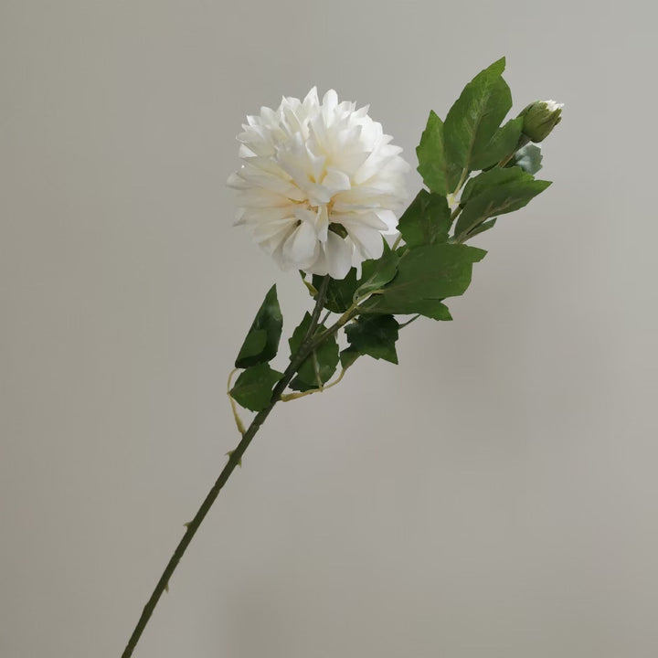 Realistische Dahlia Bloemsteel