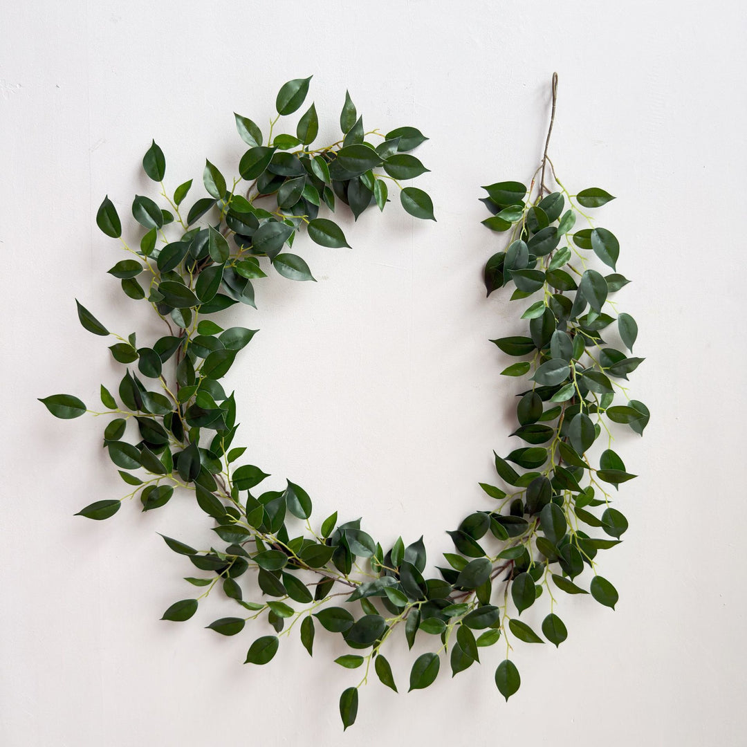 Decoratieve Nepplant voor Thuis