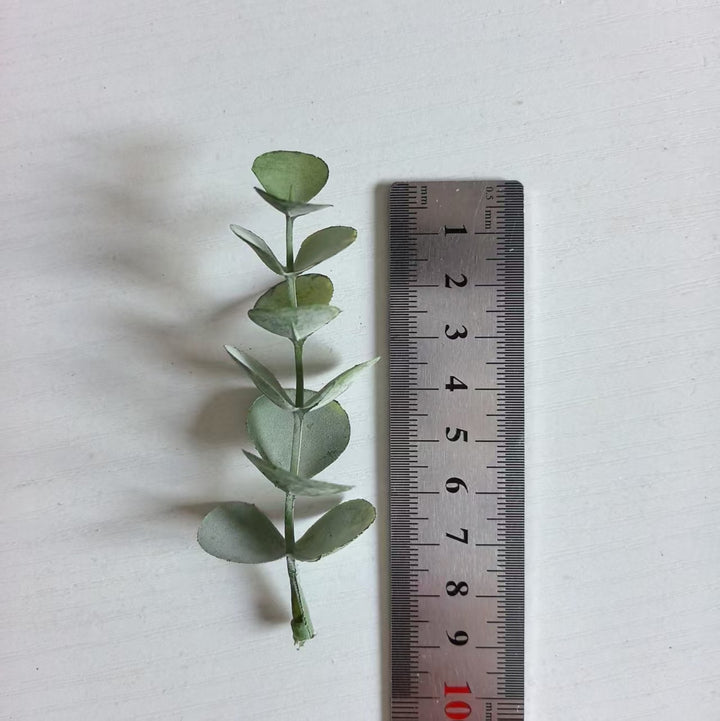 Decoratieve Eucalyptus