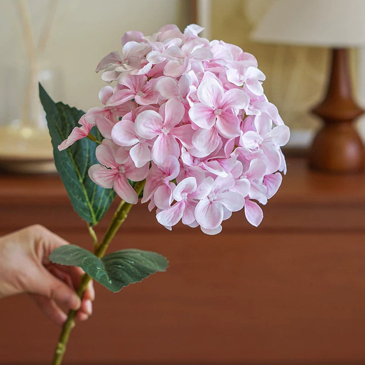 Hortensia Decoratieve Bloem Stem