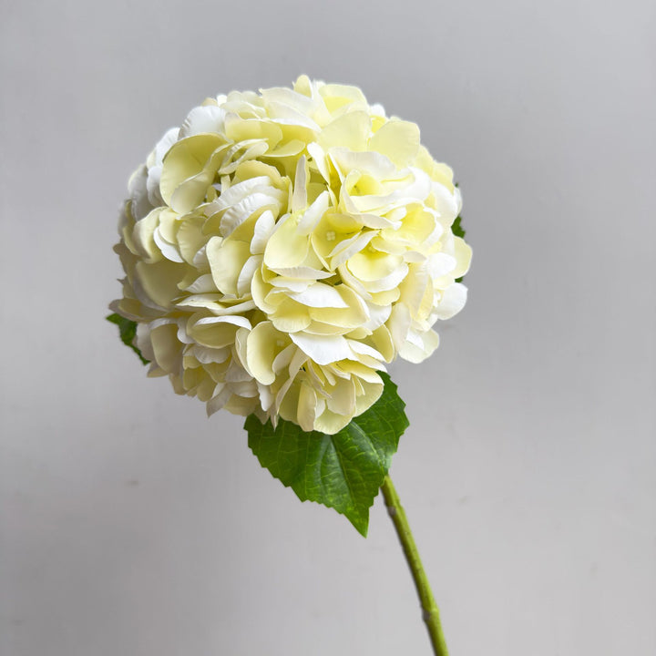 Levensechte Hortensia Steel