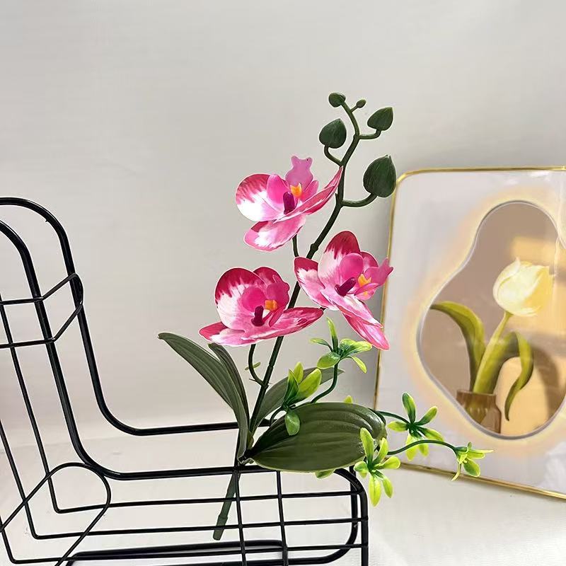 Levensechte Orchidee Arrangement