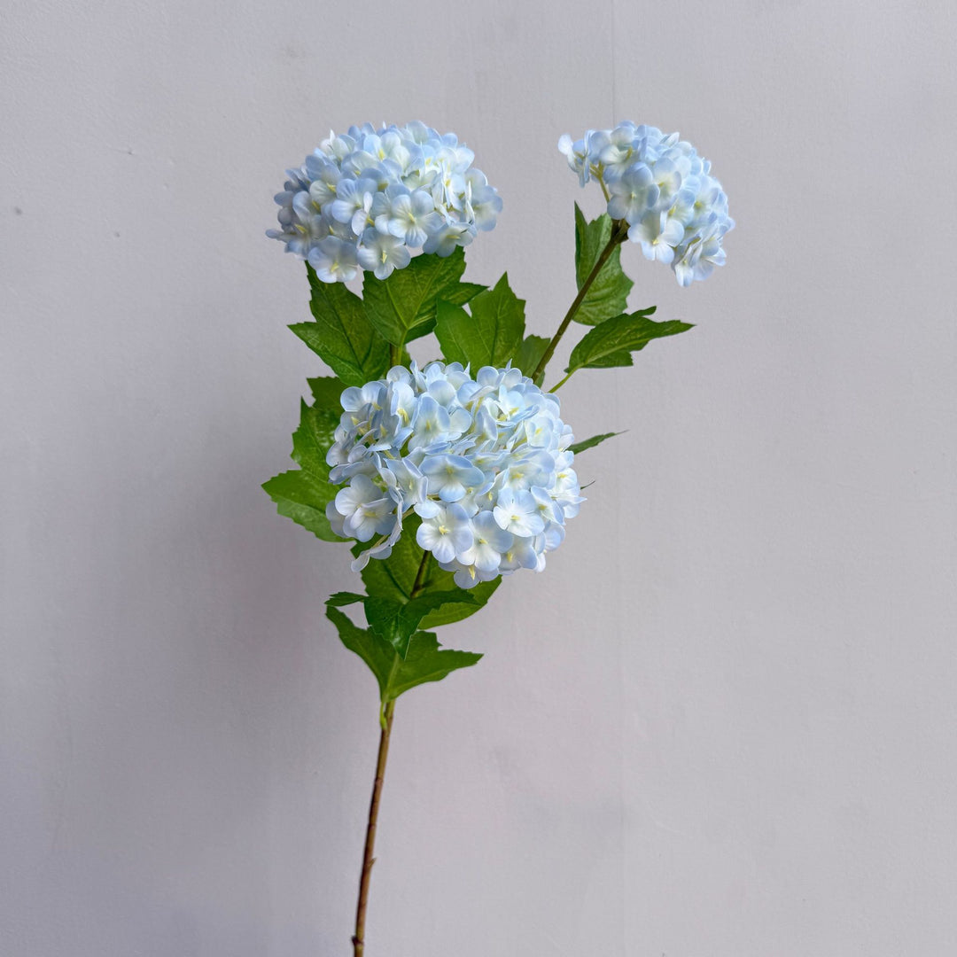 Decoratieve Hortensia Steel