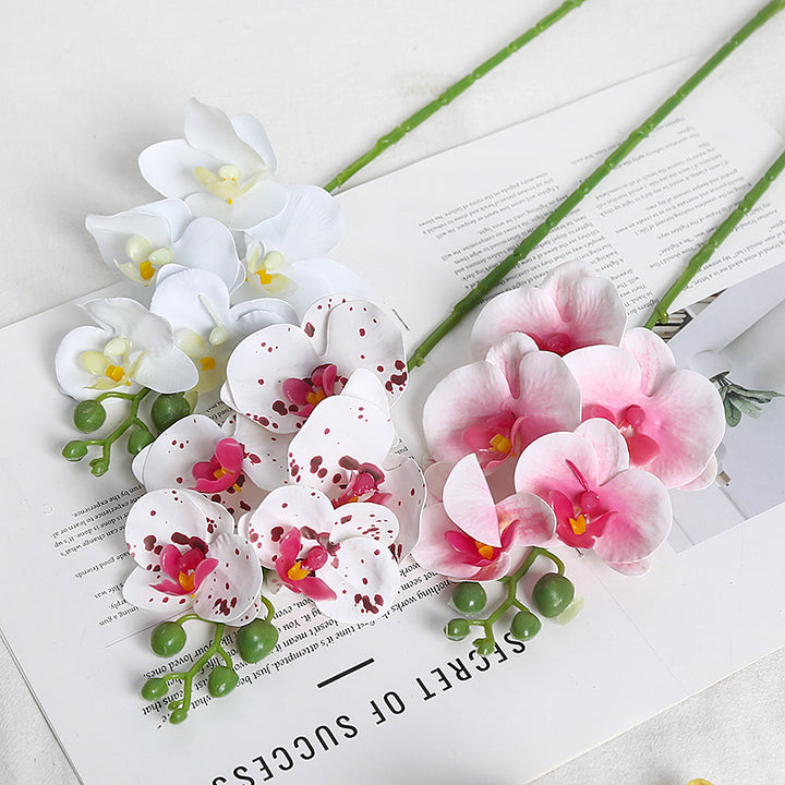 Realistische Orchidee Bloem Stem