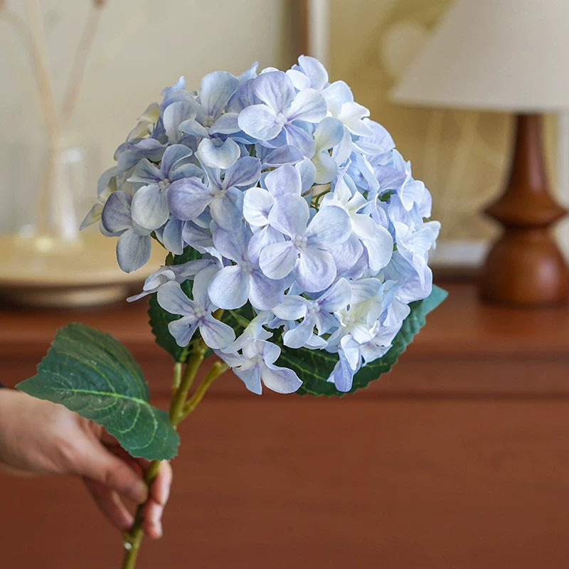 Hortensia Decoratieve Bloem Stem