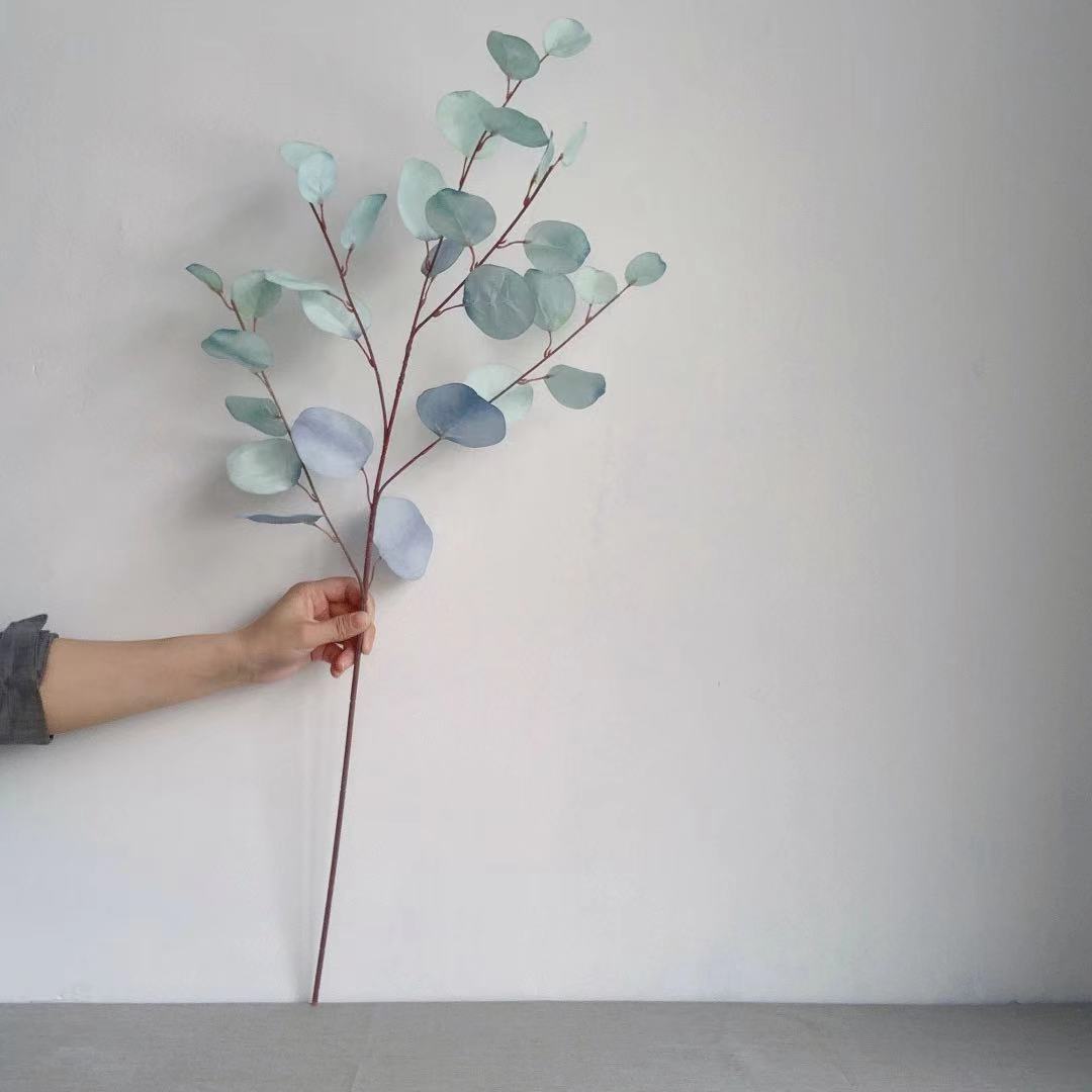 Decoratieve Eucalyptus Steel