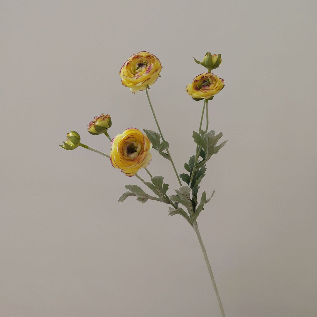 Levensechte Ranunculus Bloemsteel