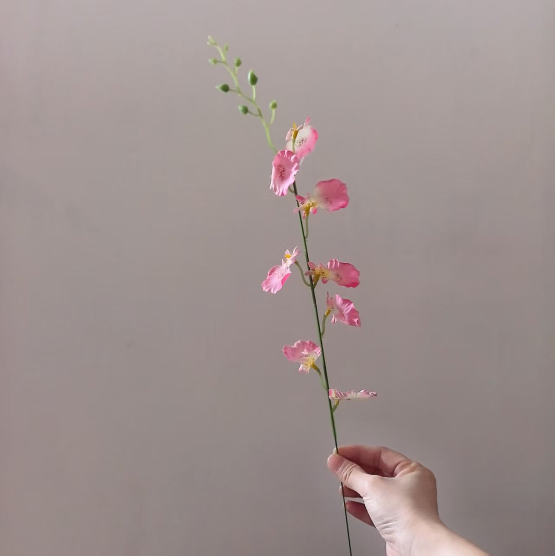 Decoratieve Orchidee Steel