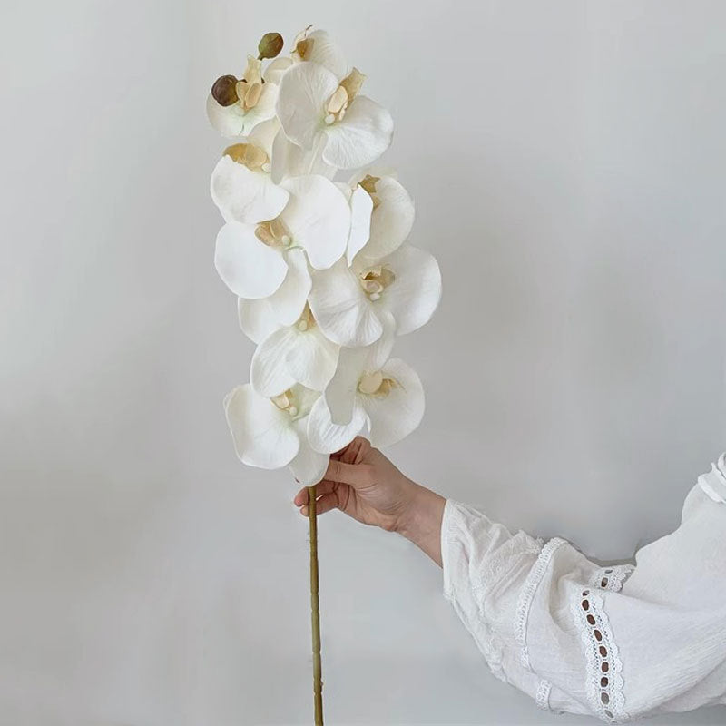 Elegante Orchidee Steel