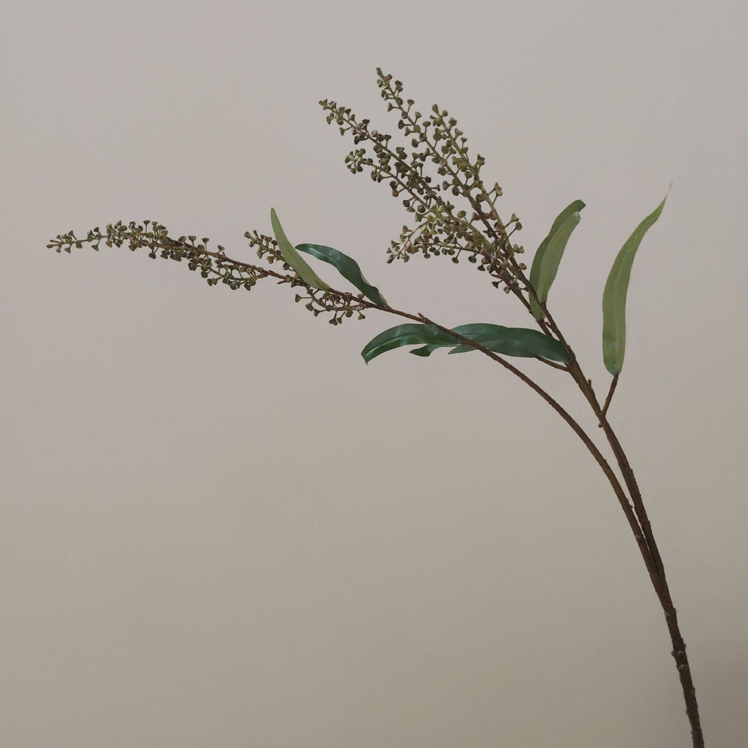 Decoratieve Botanische Tak