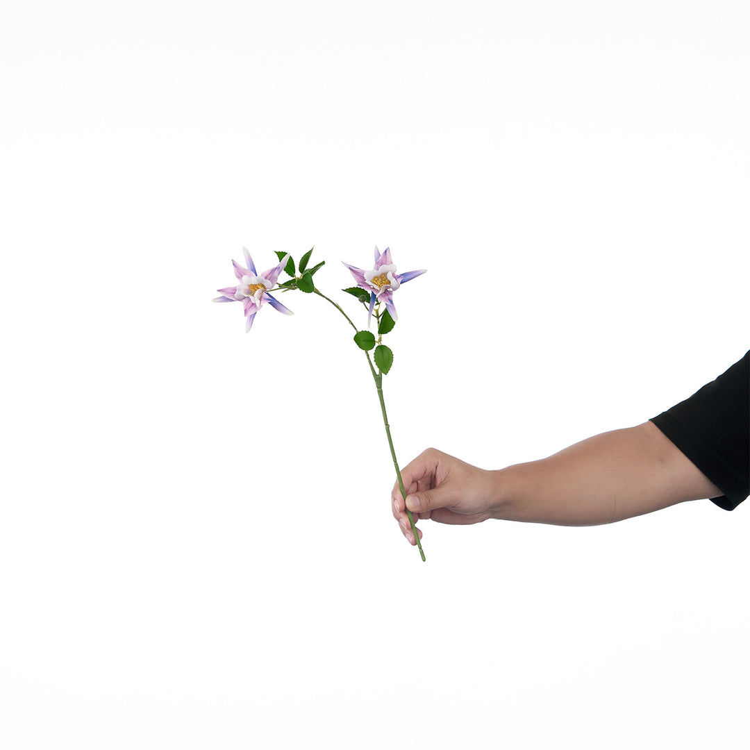 Levendige Multi-Bloom Bloemstengel