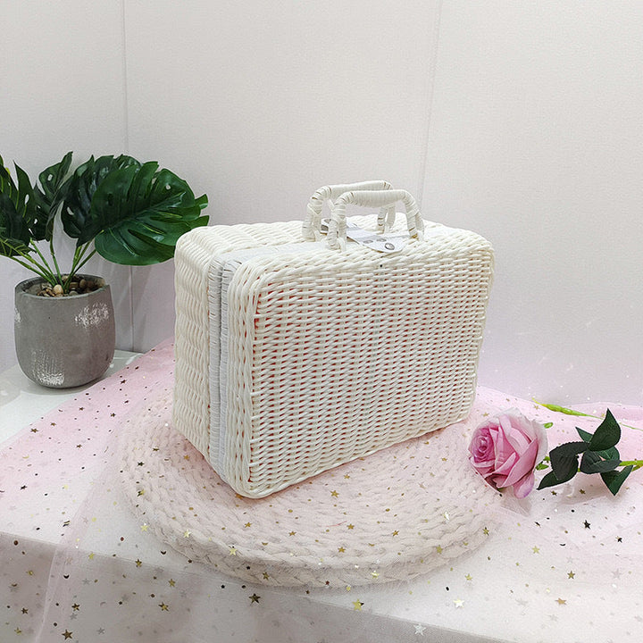Stijlvolle rattenbox met praktische handvatten